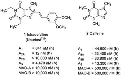 Probing Substituents in the 1- and 3-Position: Tetrahydropyrazino-Annelated Water-Soluble Xanthine Derivatives as Multi-Target Drugs With Potent Adenosine Receptor Antagonistic Activity